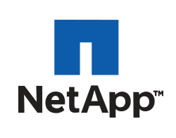 NetApp mobile app development company in Gurugram